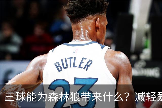 三球能为森林狼带来什么？减轻爱德华兹单打负担 麦丹能惩罚对手