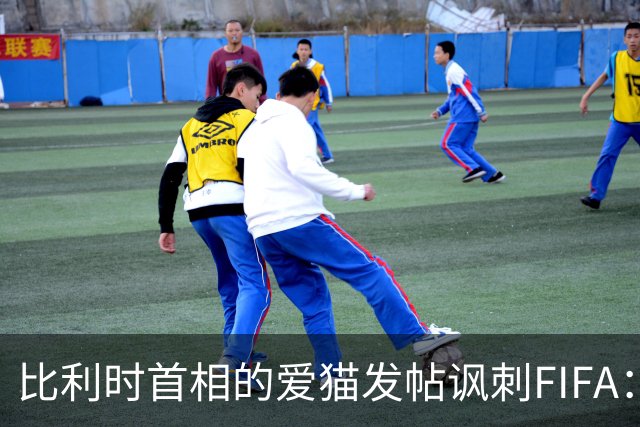 比利时首相的爱猫发帖讽刺FIFA：“红牌？”我照样继续踢！