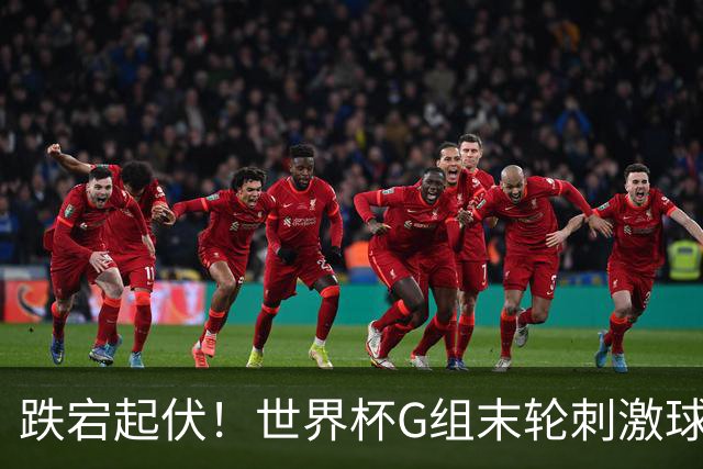 跌宕起伏！世界杯G组末轮刺激球迷心脏 伊朗狂喜过后遭打击