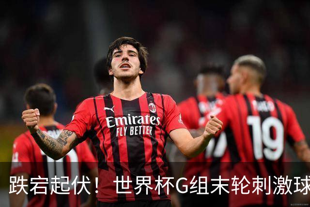 跌宕起伏！世界杯G组末轮刺激球迷心脏 伊朗狂喜过后遭打击